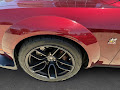 2019 Dodge Challenger R/T Scat Pack Widebody